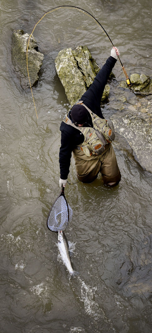 Netting a Fish